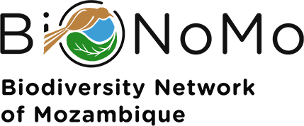 Geoportal do BioNoMo com um conjunto de camadas de dados relevantes sobre a biodiversidade de Moçambique 
