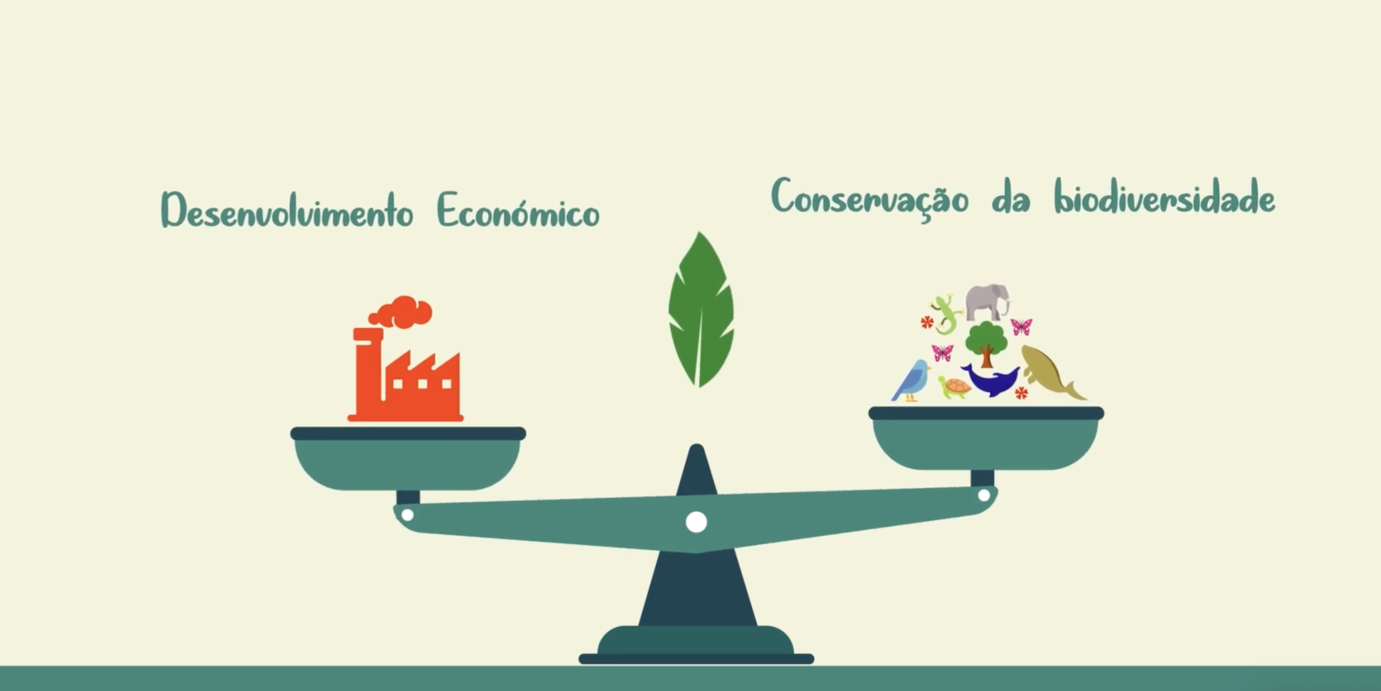 Hierarquia de Mitigação e Contrabalanços de Biodiversidade