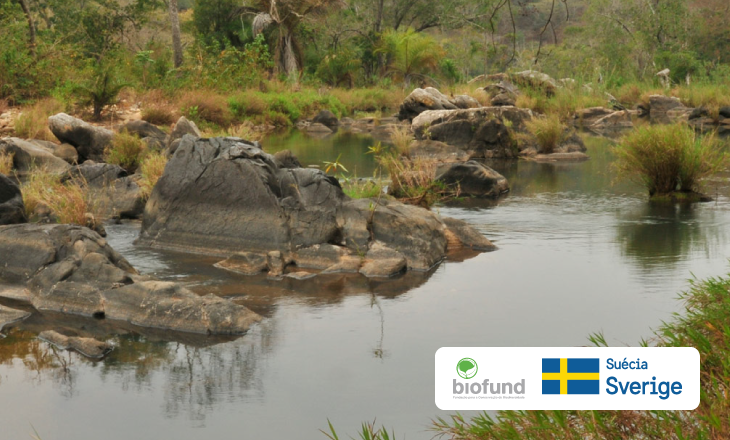 BIOFUND e o Governo da Suécia assinam acordo de apoio à Conservação da Biodiversidade em Moçambique