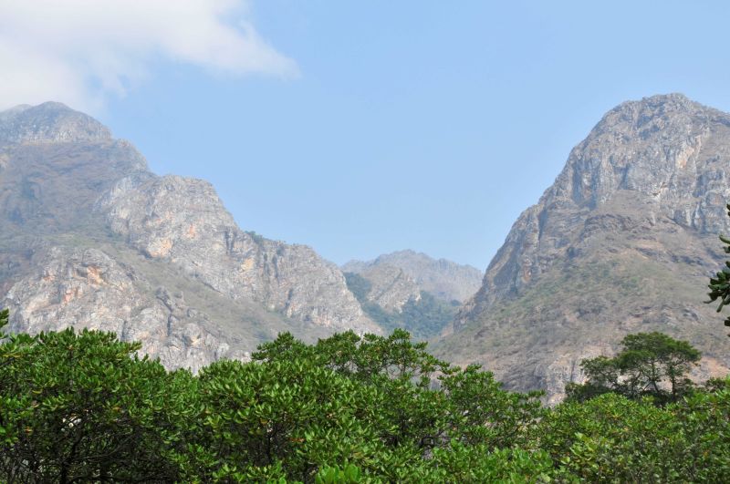 Através de um mecanismo de canalização de fundos, a empresa Café de Manica e a BIOFUND, protegem a biodiversidade do Parque Nacional de Chimanimani.