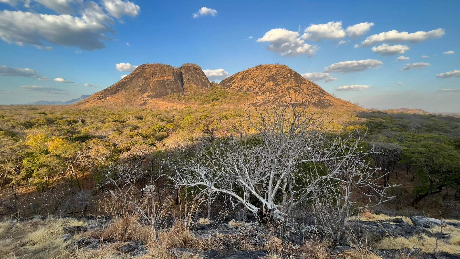Reforço da Conservação em Moçambique: Uma Colaboração para a Reserva Especial do Niassa